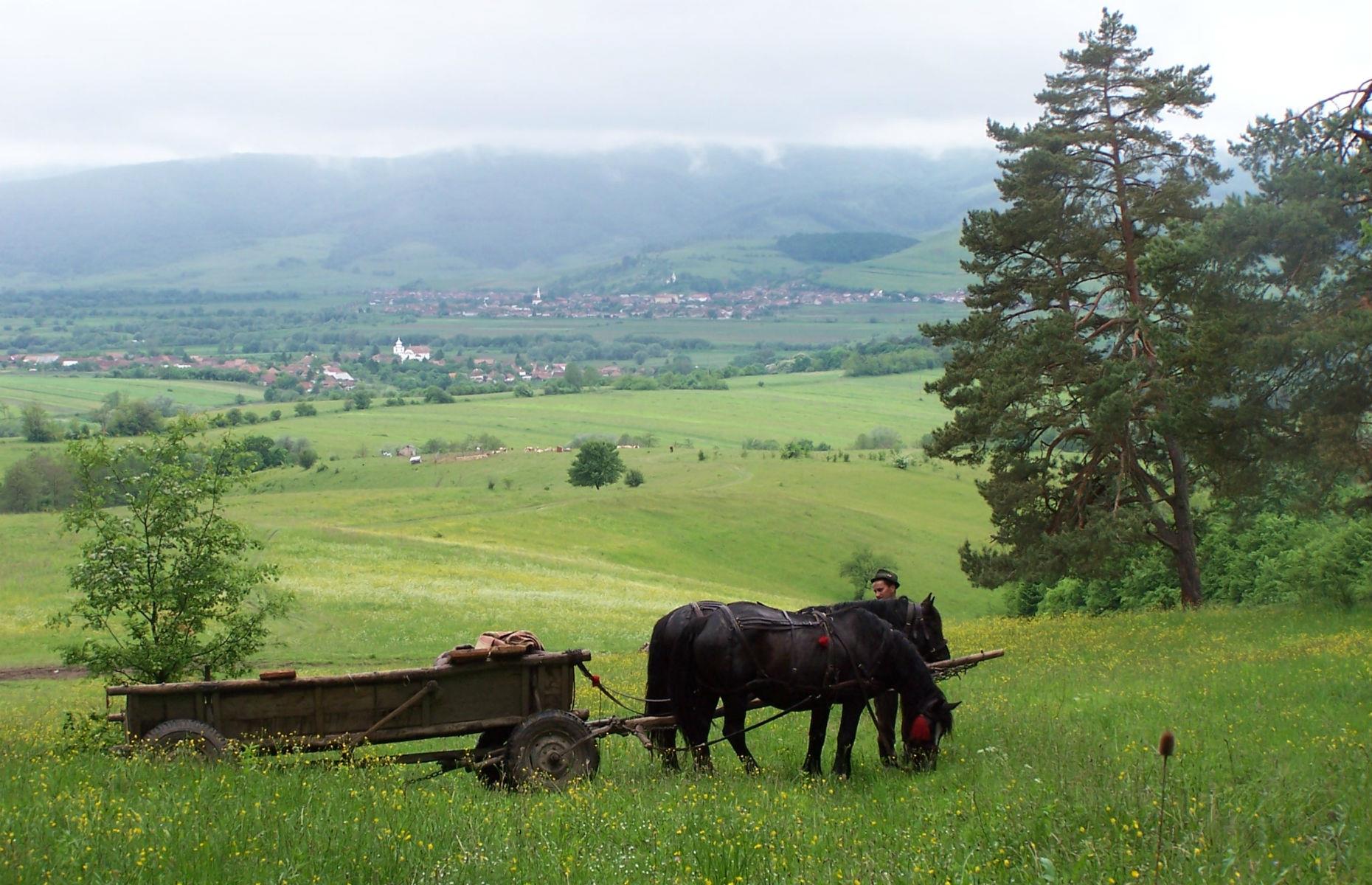 Romania